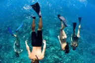 Maui Molokini Snorkel Excursion thumbnail 2