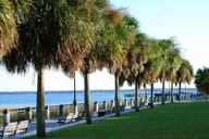 Charleston Historic Horse & Carriage Tour thumbnail 3