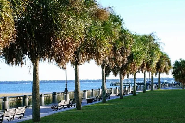 Charleston Historic Horse & Carriage Tour - Image 3