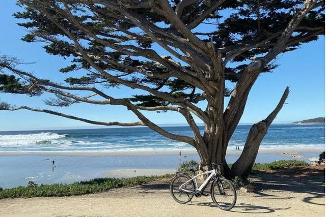 Carmel-By-The-Sea Electric Bike Tour - Image 4