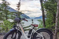 Skagway E-Bike and White Pass Summit Tour thumbnail 6
