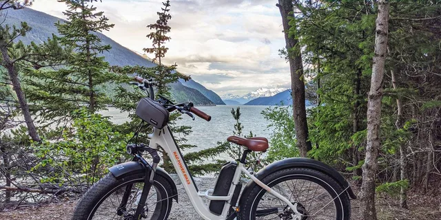 Skagway E-Bike and White Pass Summit Tour - Image 6