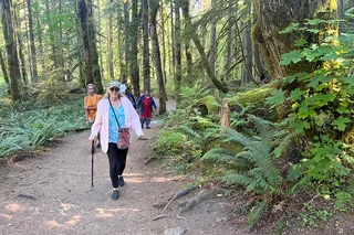 Seattle Snoqualmie Falls and Twin Falls Hike