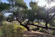 Malibu Waterfall Hike and Pacific Coast Drive thumbnail 3