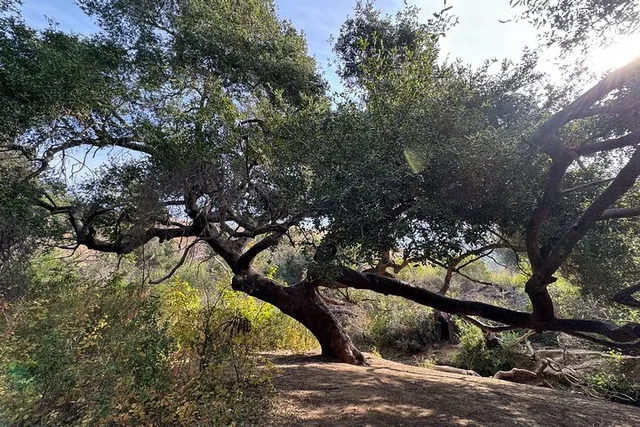 Malibu Waterfall Hike and Pacific Coast Drive - Image 3