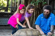 Weston Everglades Reptile Exhibit and Airboat Tour thumbnail 6