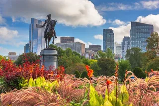 Boston Cambridge Icons Private Tour 7 hr