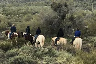 Arizona Horseback Trail Ride thumbnail 1