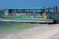 Clearwater Dolphin Cruise and Island Adventure thumbnail 3