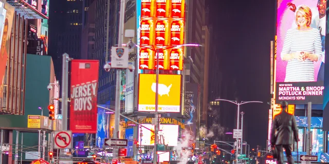 New York Holiday Lights & Rockefeller Tree Tour - Image 2