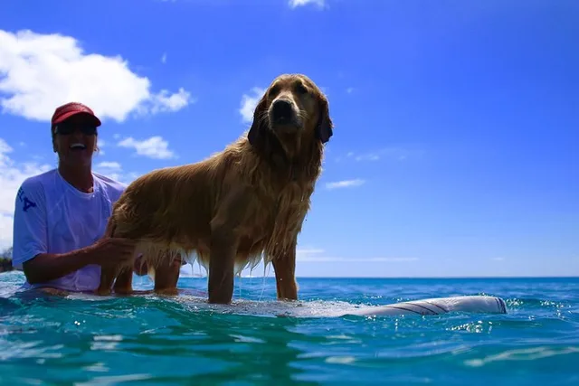 Oahu Surf Lessons on the North Shore - Image 1