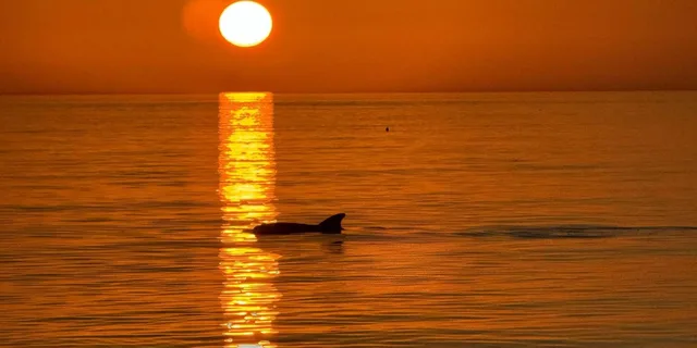 Clearwater Beach Tiki Boat Experience 1.5 hr - Image 2