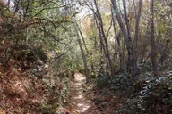 Sedona Hiking Tour with Private Guide thumbnail 6
