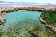 Las Vegas Hidden Hot Springs Tour thumbnail 4