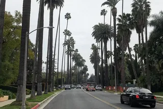 Los Angeles Hollywood Private Tour 4 hr