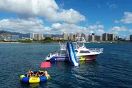 Waikiki Snorkel and Wildlife Cruise thumbnail 4