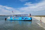 North Myrtle Beach Dolphin Tour 2 hr thumbnail 1