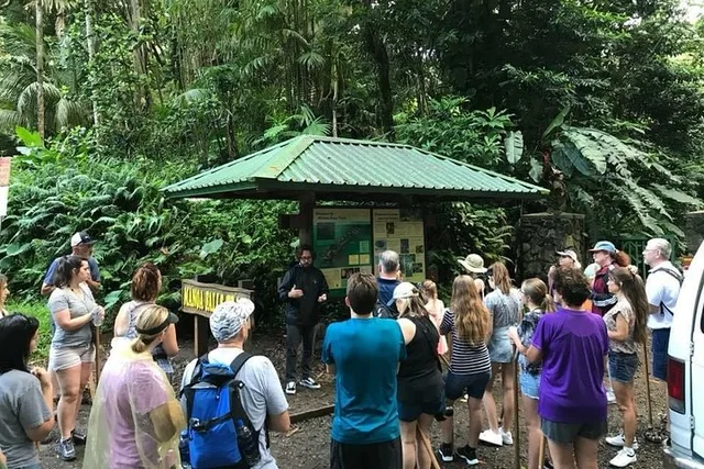 Honolulu Manoa Falls Rainforest Hike - Image 4