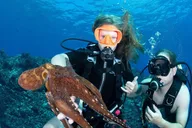 Lahaina Snorkel and SCUBA Adventure thumbnail 3