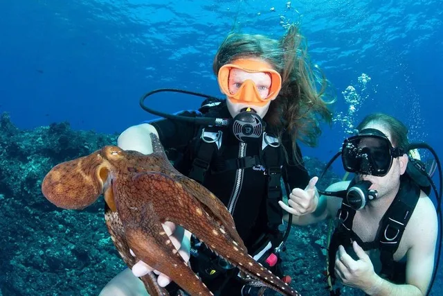 Lahaina Snorkel and SCUBA Adventure - Image 3