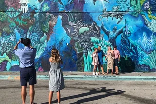 Miami Wynwood Street Art Tour 75 min