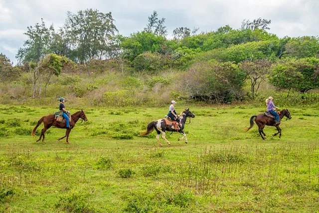 Oahu Advanced Trail Ride - Image 3