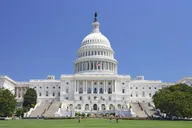 Washington DC Limousine Tour thumbnail 1