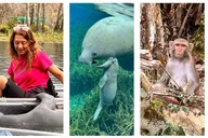Silver Springs Clear Kayak Wildlife Adventure thumbnail 2