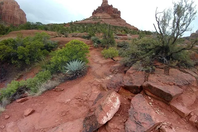 Sedona Vortex Journey & Empowerment Tour 6-8 Hr - Image 4