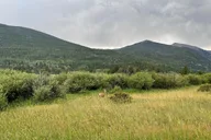Colorado Springs City Tour from Denver thumbnail 6