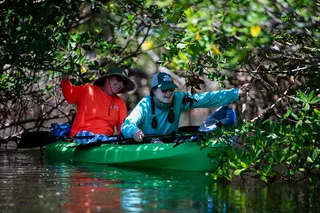 Tierra Verde Kayak Tour in Mangrove Preserve