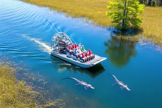 Miami Everglades Airboat Tour with Hotel Pickup