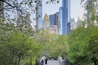 New York Central Park Nature and Movie Tour thumbnail 1