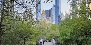 New York Central Park Nature and Movie Tour