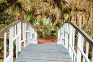 Charleston Magnolia Plantation Tour with Transport thumbnail 3