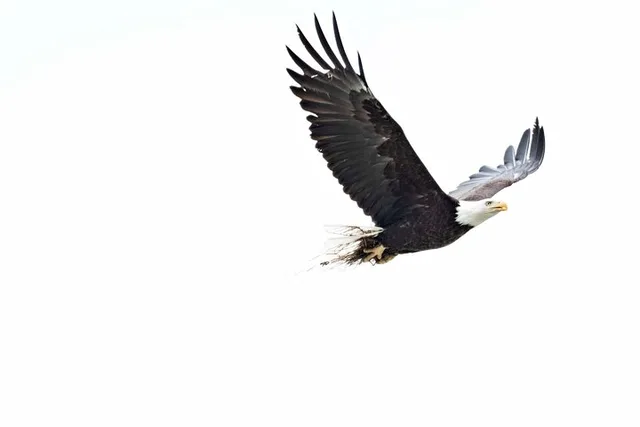 Haines Photography Tour from Skagway - Image 5