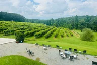 Atlanta Private Wine Tasting Tour thumbnail 1