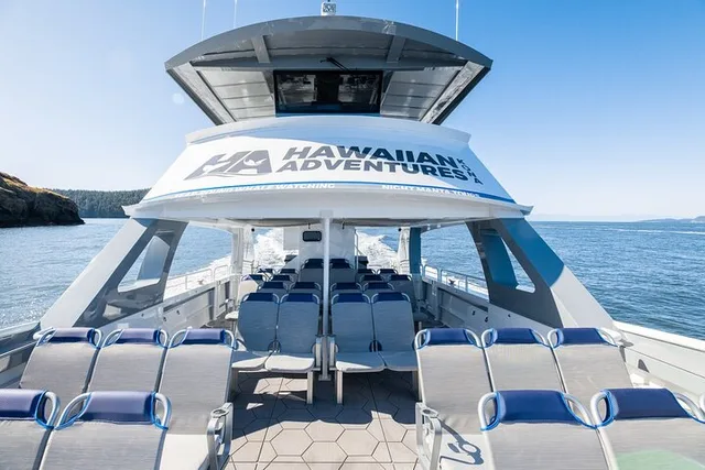 Kona Dolphin and Whale Watching Tour - Image 5