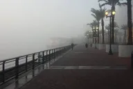 New Orleans Darkness Tour thumbnail 2