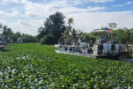 Miami Everglades Airboat Tour thumbnail 2