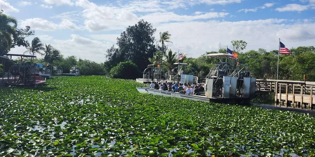 Miami Everglades Airboat Tour - Image 2