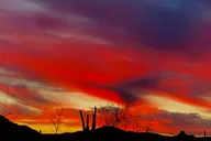 Phoenix Sonoran Desert Guided Hike 2 hr thumbnail 5