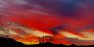 Phoenix Family Guided Hike