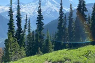 Mount Rainier Day Hike on Three Burroughs Trail thumbnail 5