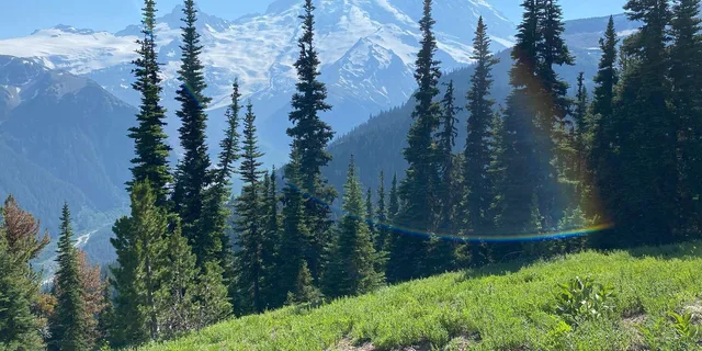 Mount Rainier Day Hike on Three Burroughs Trail - Image 5