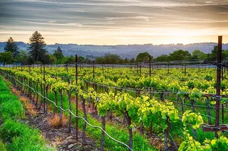 Seattle Woodinville Wine Tour 4 hr