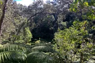 Hilo & Kona Private Tour thumbnail 4