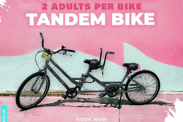 Miami Beach Electric Tandem Bike Rental - Image 4