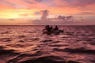 Orlando Bioluminescence Kayak Tour thumbnail 6