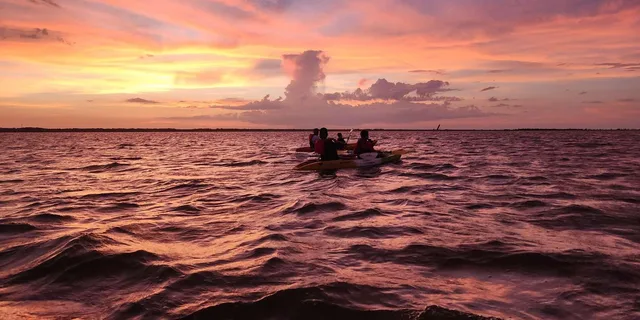 Orlando Bioluminescence Kayak Tour - Image 6